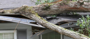 What Should You Do When Your Home's Roof is Damaged