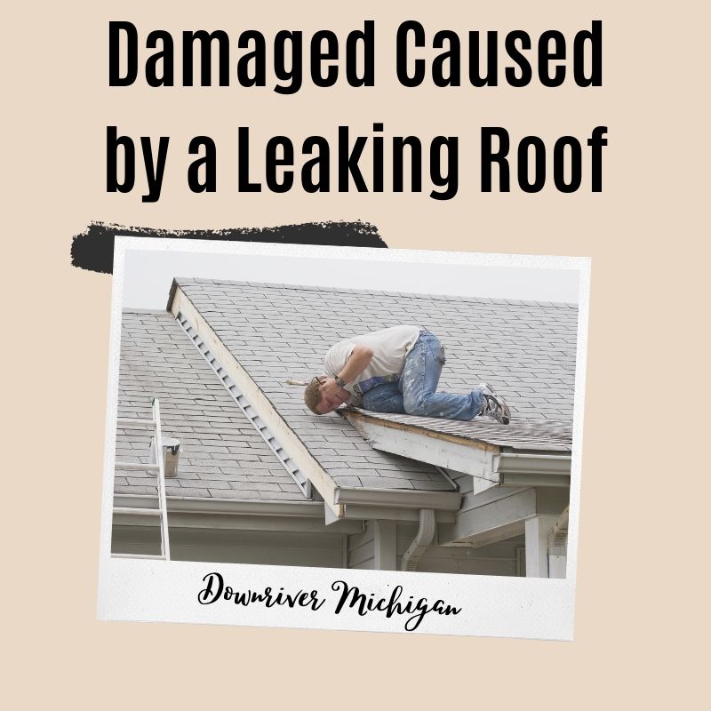 Damaged Caused by a Leaking Roof in Downriver Michigan