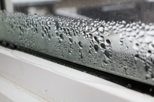 Reasons Why You Home Windows in Wyandotte Michigan May Have Condensation
