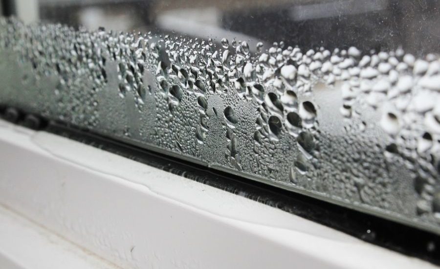 Reasons Why You Home Windows in Wyandotte Michigan May Have Condensation