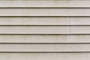 Springtime Cleaning Tips: Vinyl Siding in Southgate Michigan