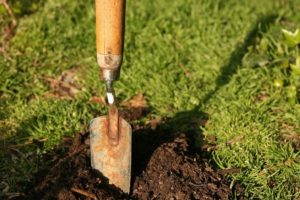 Get Your Garden Ready for Spring with Landscaping Professionals in Downriver Michigan