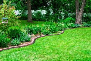 What are the Benefits of Lawn Aeration in Downriver Michigan?