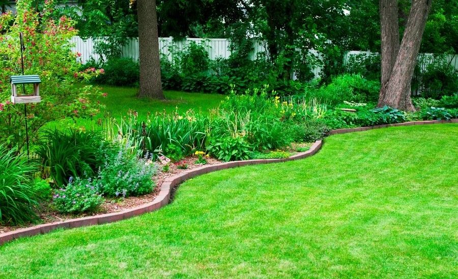 What are the Benefits of Lawn Aeration in Downriver Michigan?