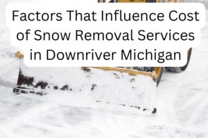 Factors That Influence Cost of Snow Removal Services in Downriver Michigan