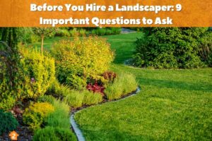 Before You Hire a Landscaper: 9 Important Questions to Ask