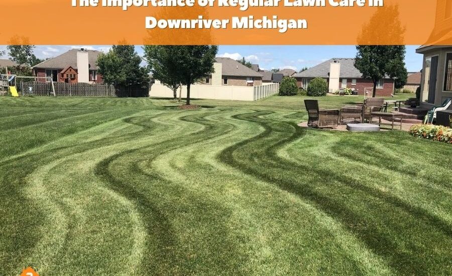 The Importance of Regular Lawn Care in Downriver Michigan